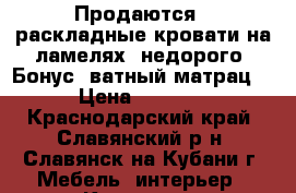 Продаются 2 раскладные кровати на ламелях, недорого. Бонус- ватный матрац. › Цена ­ 4 500 - Краснодарский край, Славянский р-н, Славянск-на-Кубани г. Мебель, интерьер » Кровати   . Краснодарский край